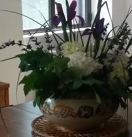 Albemili * Cusano Mutri